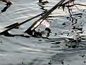 2013-01-25, Eisformen (14)